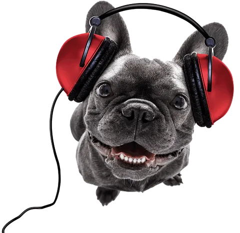 mediamagneten – Listen on Spotify